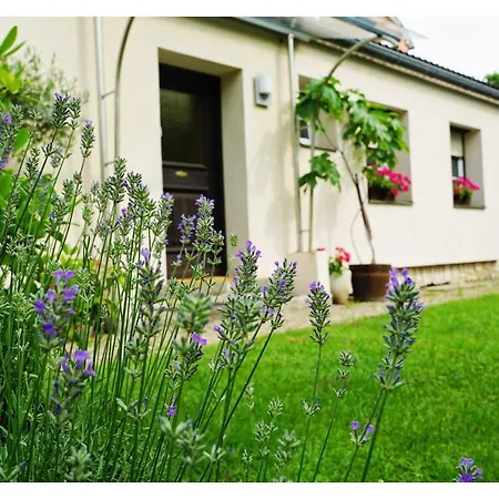 Ingrid'S Guesthouse Spittal Spittal an der Drau Exterior photo