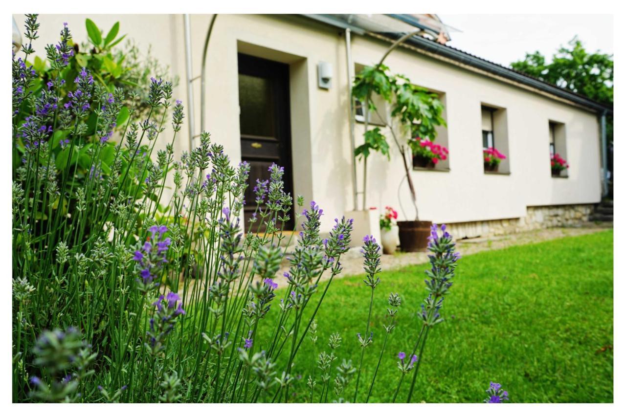 Ingrid's Spittal Apartment Spittal an der Drau