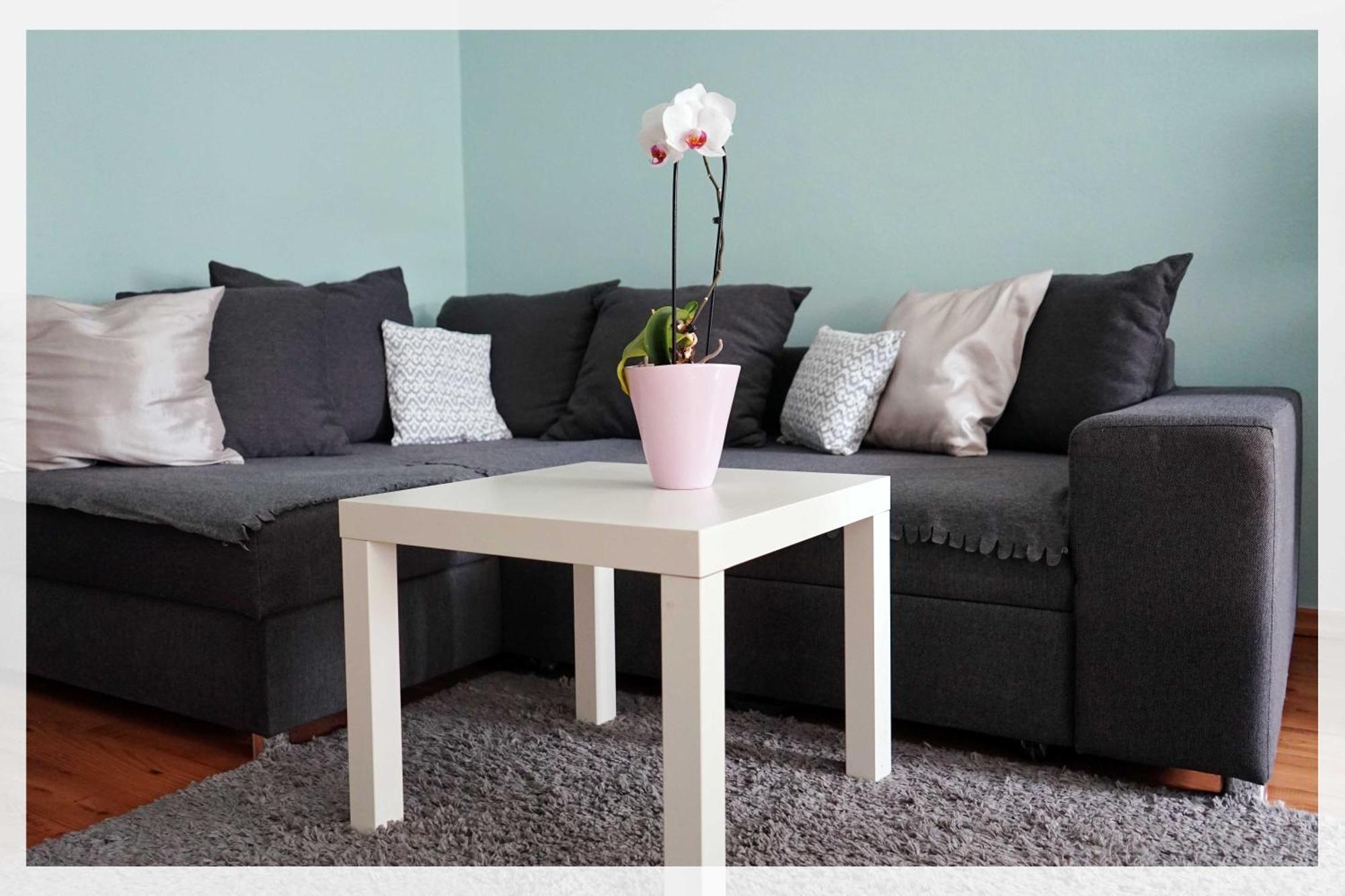 Ingrid's Spittal Apartment