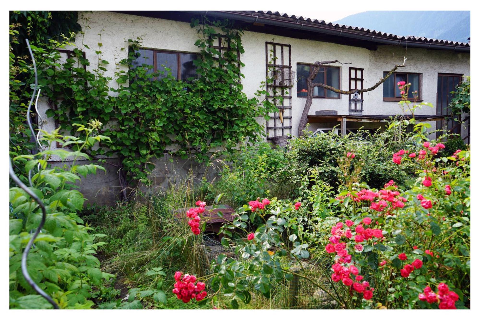 Ingrid's Spittal Apartment Spittal an der Drau
